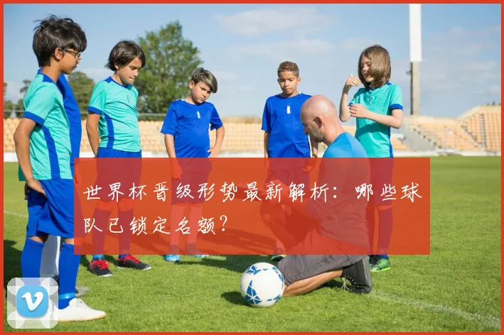 世界杯晋级形势最新解析：哪些球队已锁定名额？